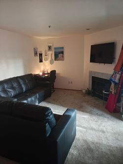50' Tv