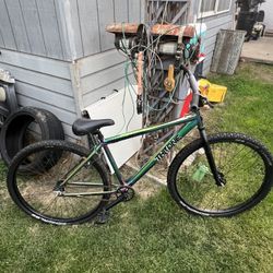 29” Oil slick throne bike