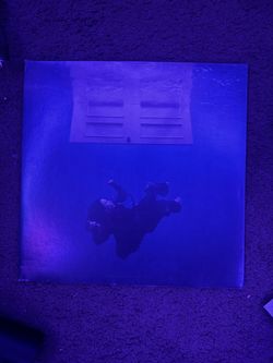 Hit Me Hard and Soft vinyl