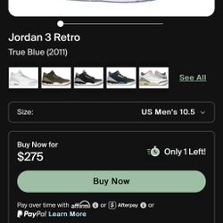 Nike Jordan 3 Retro True Blue Shoes