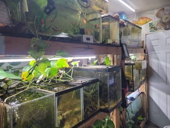 Aquarium/fish tank accessories