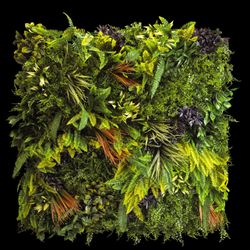 Eden A Foliage Panel