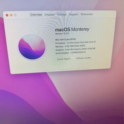 MAC mini