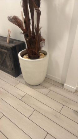 Plant/tree pot