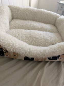 Kitten bed