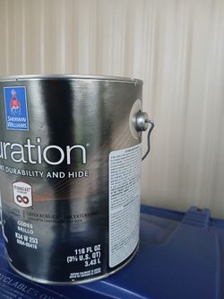Paint