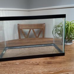10 Gallon Aquarium