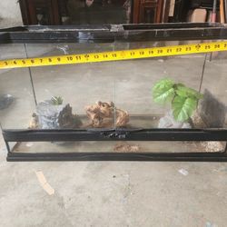 Terrarium For Reptiles