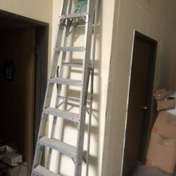 8 Foot Gorilla Ladder 