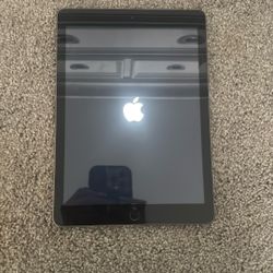 iPad  