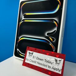 Apple Ipad Peo 11 Inch M4 Chip OLED Display Tablet 