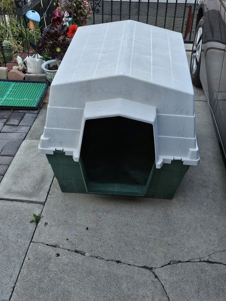 Dog House