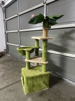 Cat/kitten climbing tree