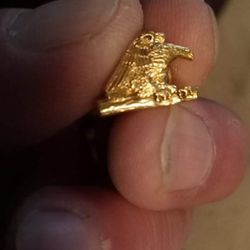 Eagle pin,  Tiffany& co.