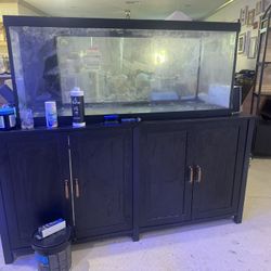 90 Gal Gish Tank