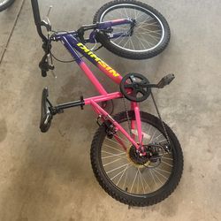 Nishiki Bike