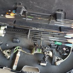 Bow. Case And Target
