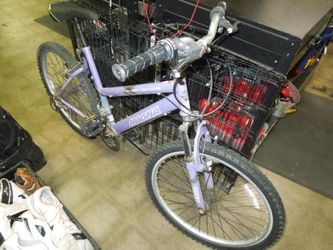 Used Dynacraft Magna Great Divide 21 Sp Mountain Bike in Purple-43829-110