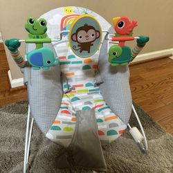 Baby Bouncer