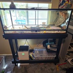 Reptizoo 48x18x24 90 Gallon
