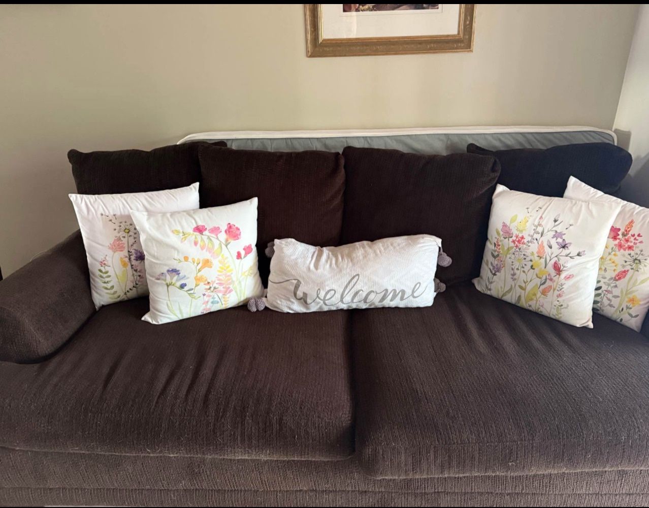 2 Brown Couches