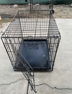Dog Cage