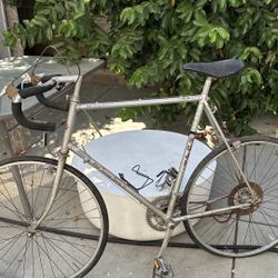 Vintage Fuji Bike 