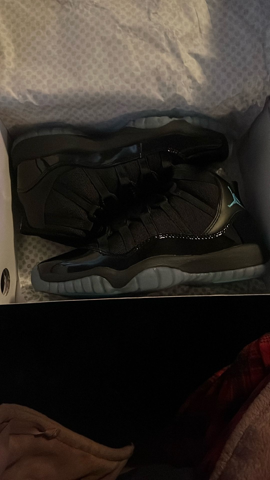 Jordan 11s