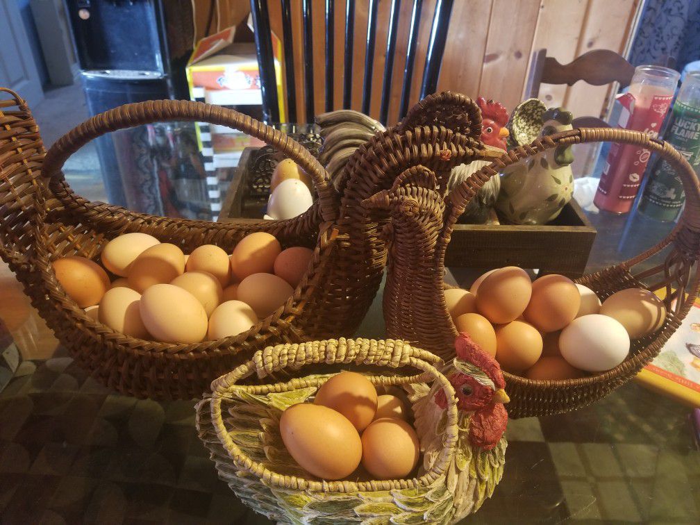 Fresh farm Eggs