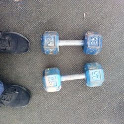 A Pair Of 25 Lb Dumbbells $50