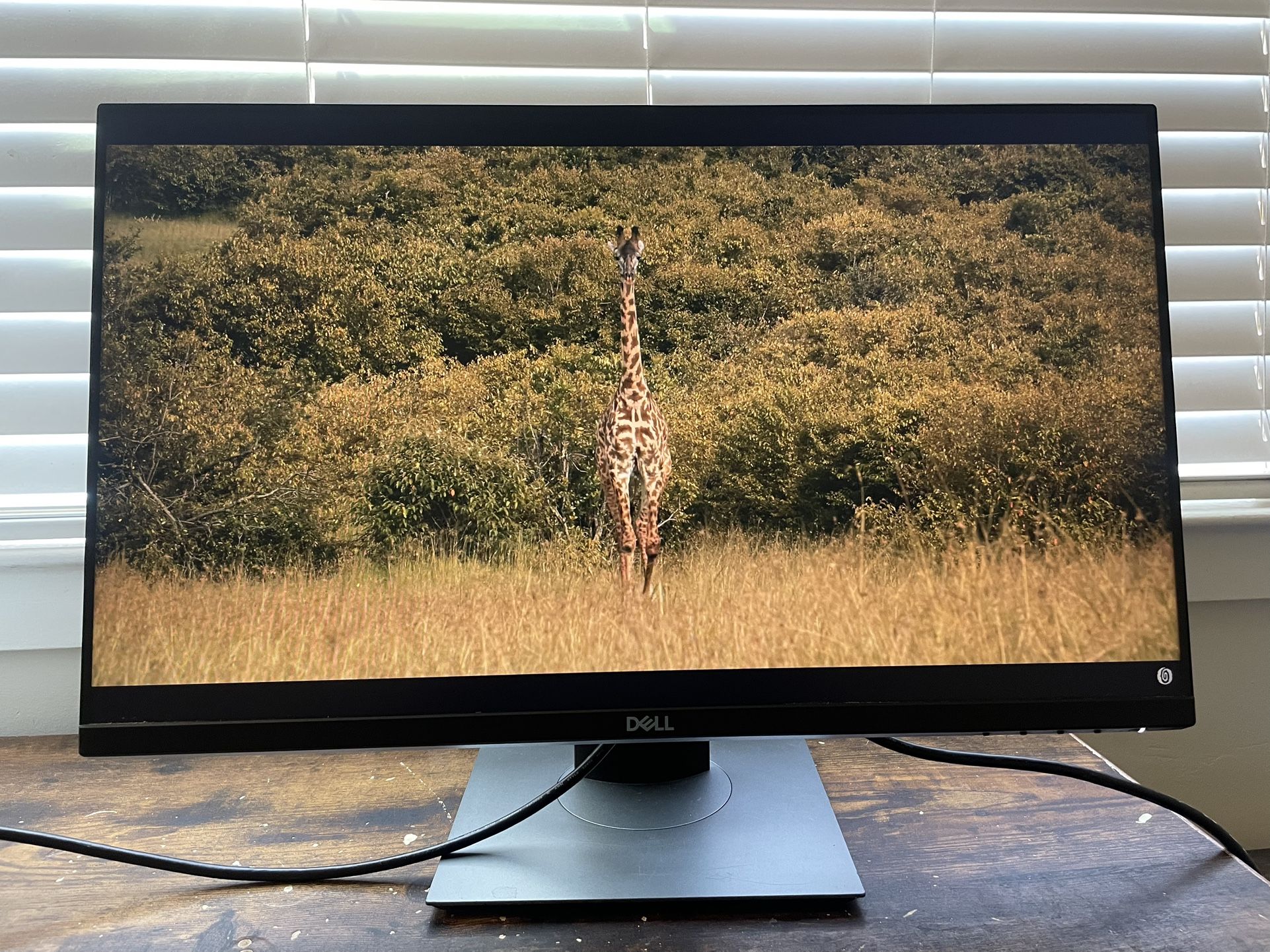 Dell 24 Inch Monitor