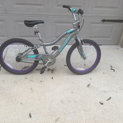 20” Kids Schwinn Bike