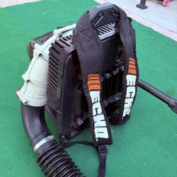 Echo Heavy Duty Leaf blower 