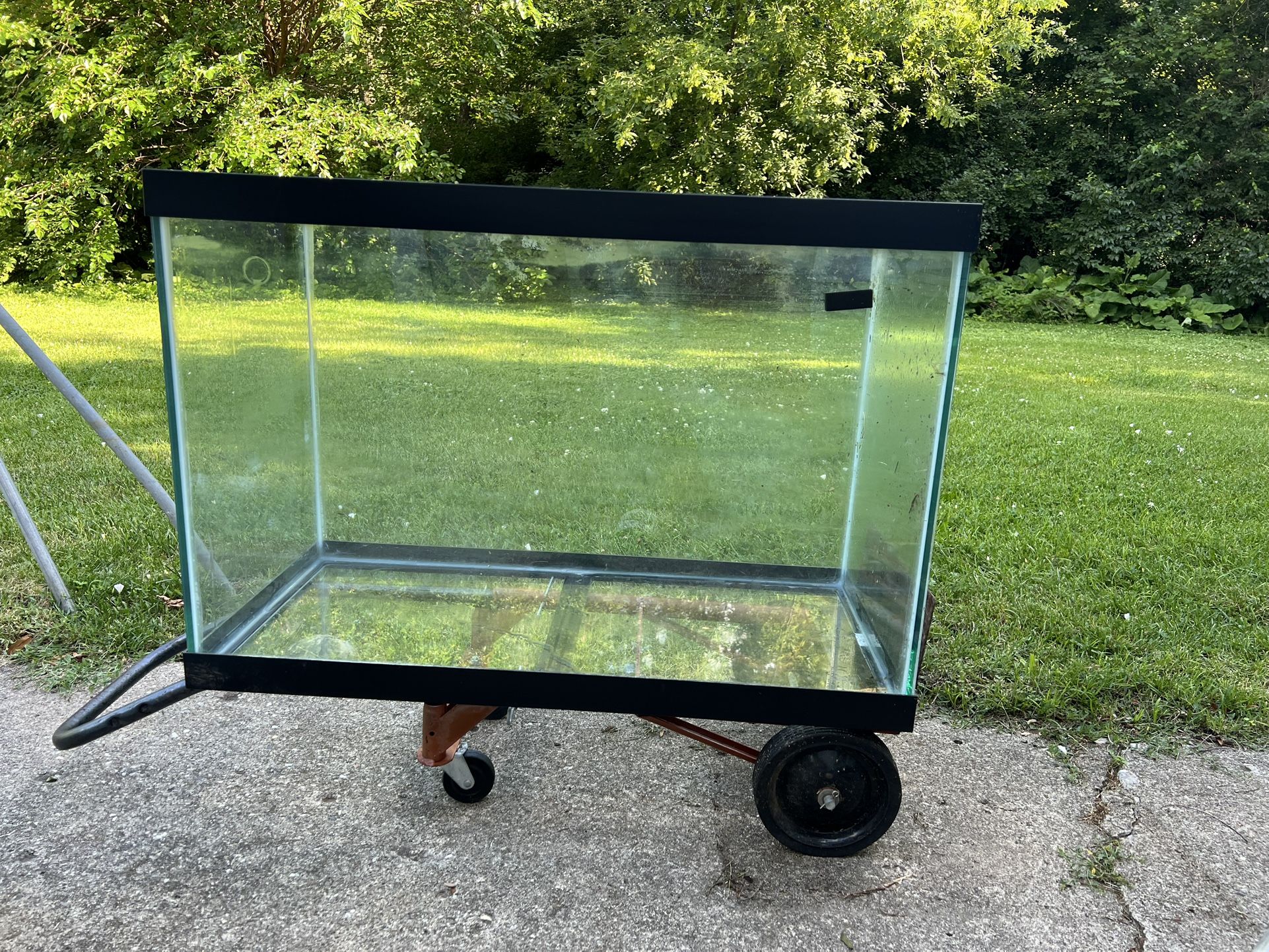 65 Gallon Fish Tank 