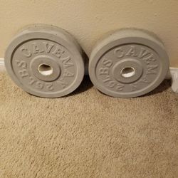 2 25 Pound Weights For Bench Press Lifting