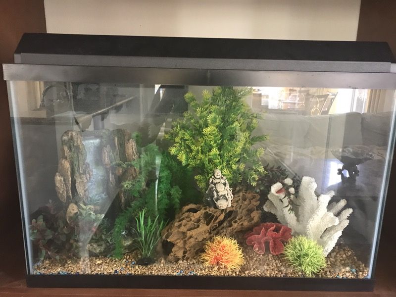 Aquarium