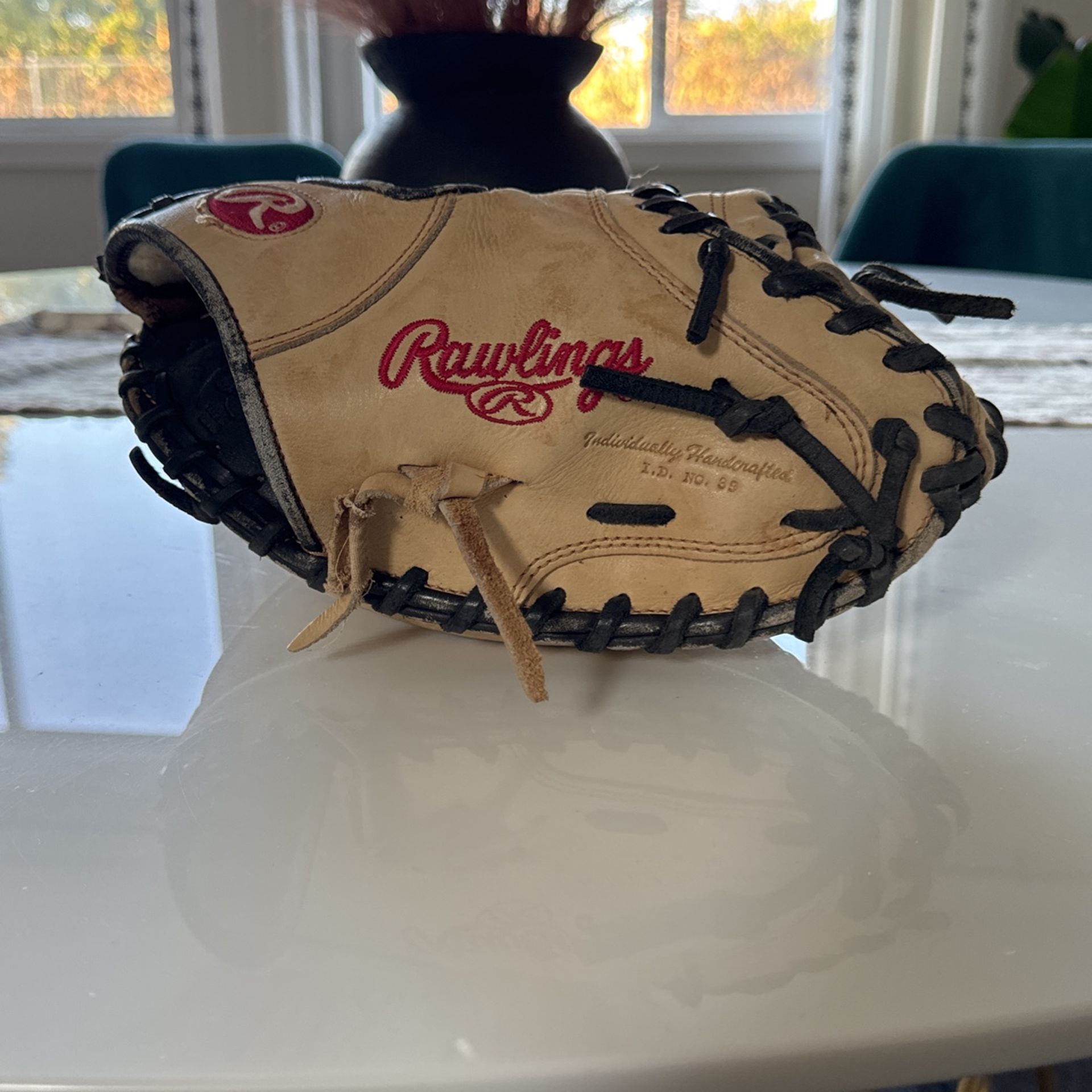 Pro Preferred Catches Mitt