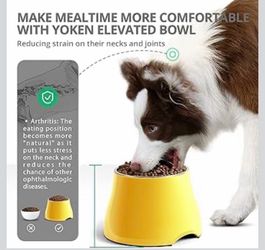 (2) Elevated Dog Bowls Stainless Steel