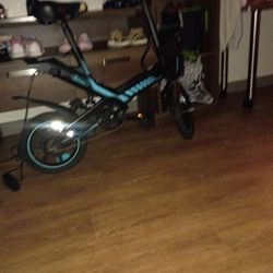 Black Sailnova With Blue Details/14 Inch Tires 