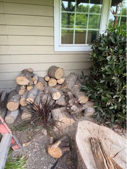 FREE MAPLE WOOD & SCRAPS