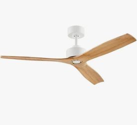 HAMPTON BAY FAN