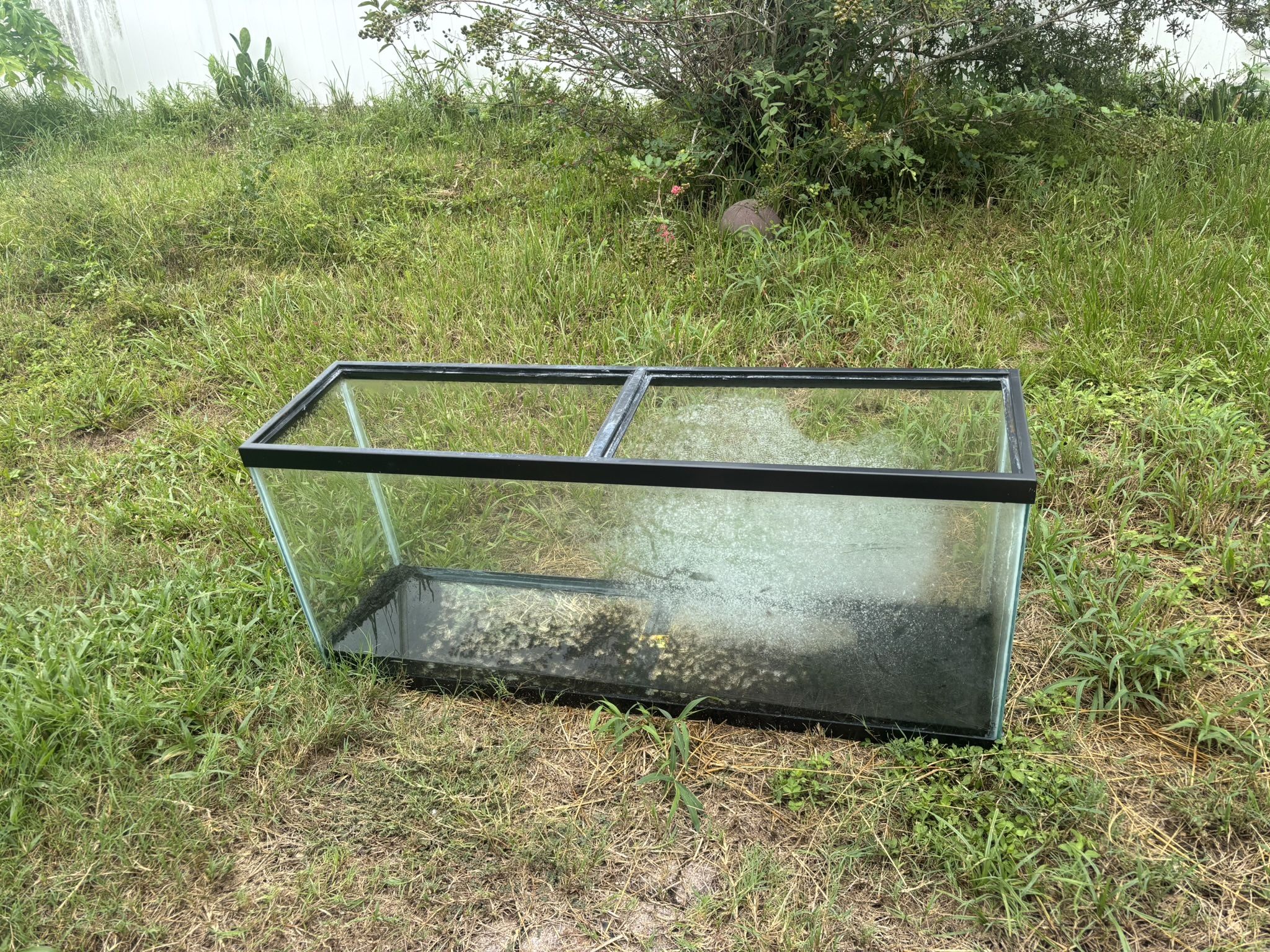 50 Gallon Fish Tank