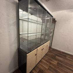 Display Case (with Lights)