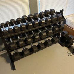 5-75lbs Dumbbells w/Rack 