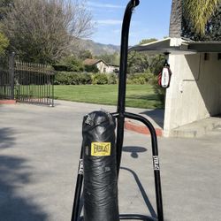 Heavy Punching Bag + Speed Bag Stand Setup (90lb Bag + New Speed Bag)