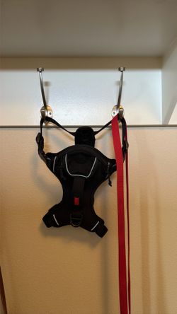 Kong harness
