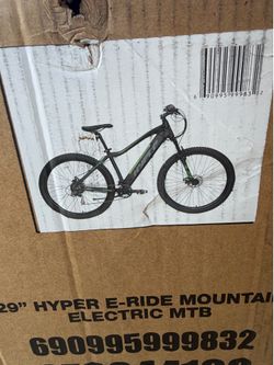 Electric mountain bike