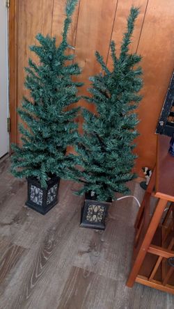 Christmas trees