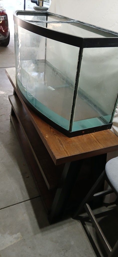 Bowfront 55 Gallon Fish Tank