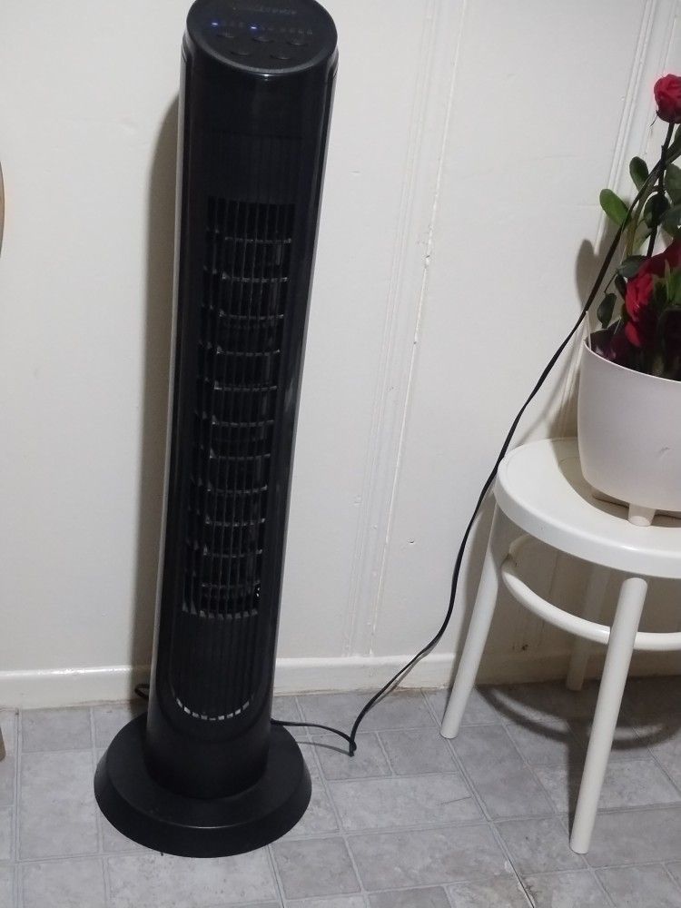 Ventilador Grande